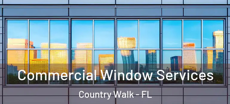 Commercial Window Services Country Walk - FL