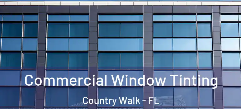  Commercial Window Tinting Country Walk - FL