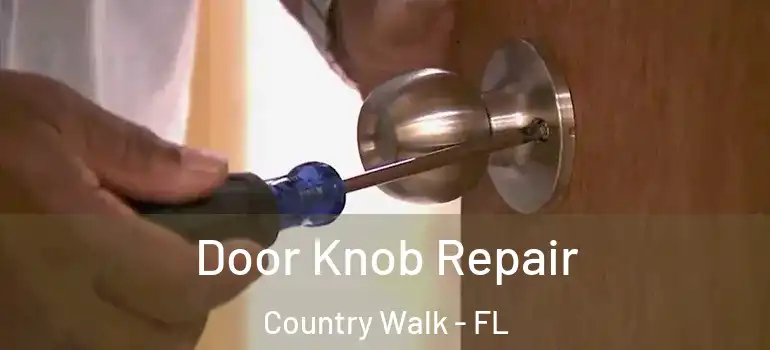  Door Knob Repair Country Walk - FL