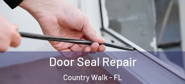  Door Seal Repair Country Walk - FL