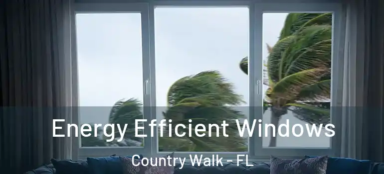  Energy Efficient Windows Country Walk - FL