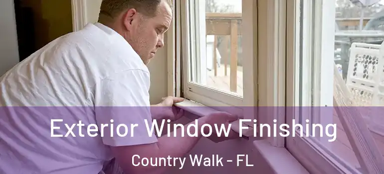  Exterior Window Finishing Country Walk - FL