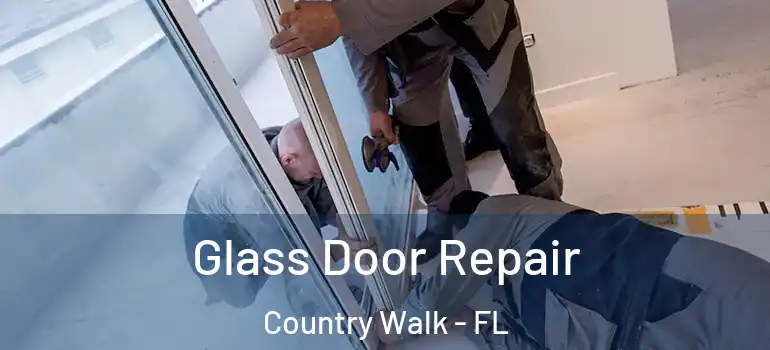  Glass Door Repair Country Walk - FL