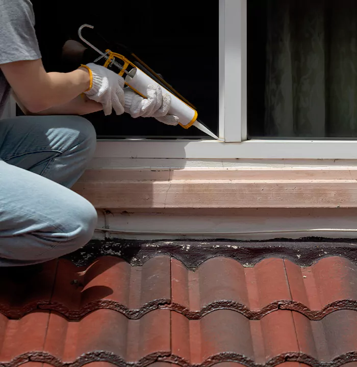 Roof Window Services in Country Walk, Florida