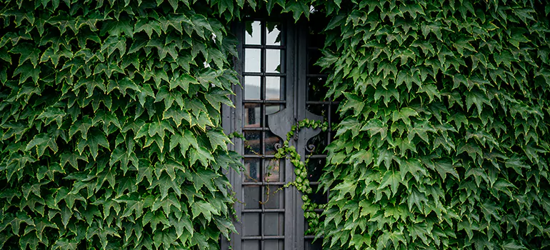 Garden Gate Repair in Country Walk, FL