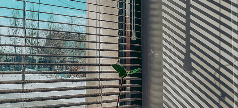 Commercial Window Blinds in Country Walk, FL