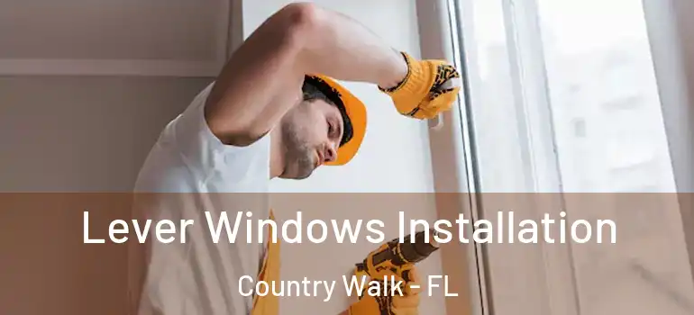  Lever Windows Installation Country Walk - FL