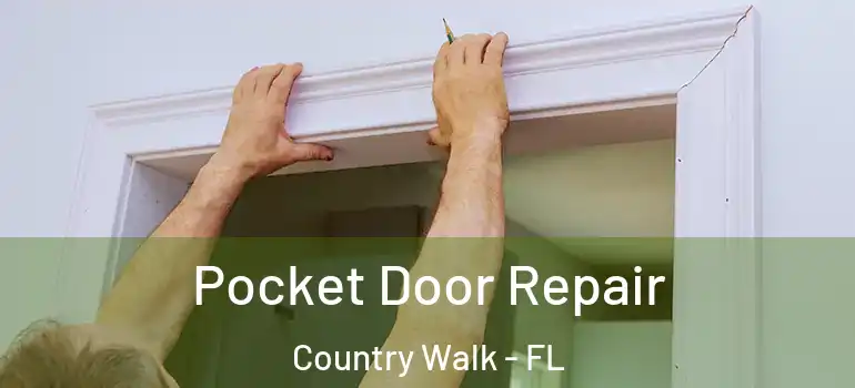  Pocket Door Repair Country Walk - FL