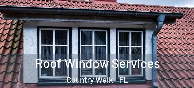  Roof Window Services Country Walk - FL