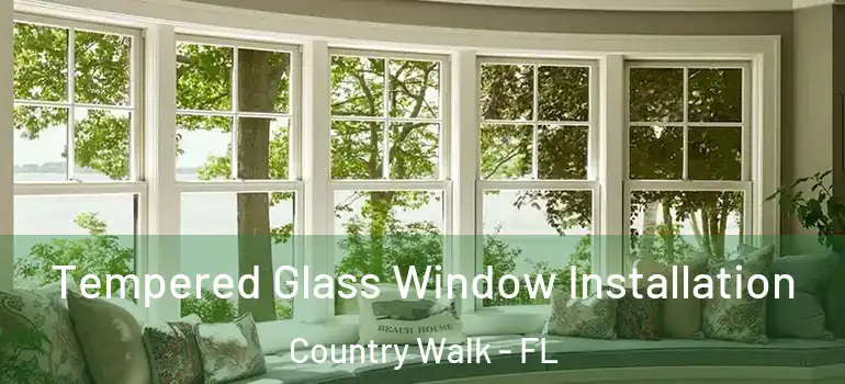  Tempered Glass Window Installation Country Walk - FL