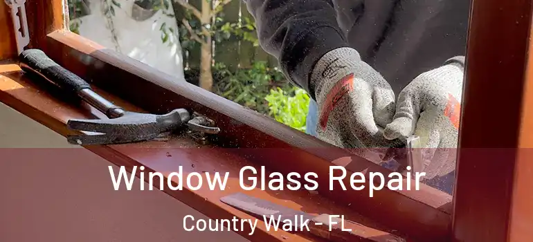  Window Glass Repair Country Walk - FL