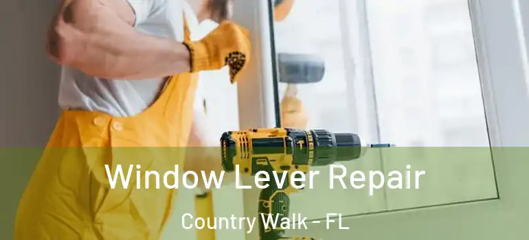  Window Lever Repair Country Walk - FL