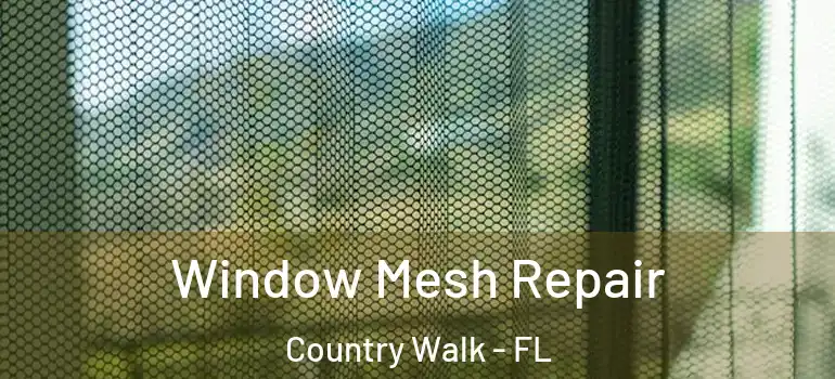  Window Mesh Repair Country Walk - FL