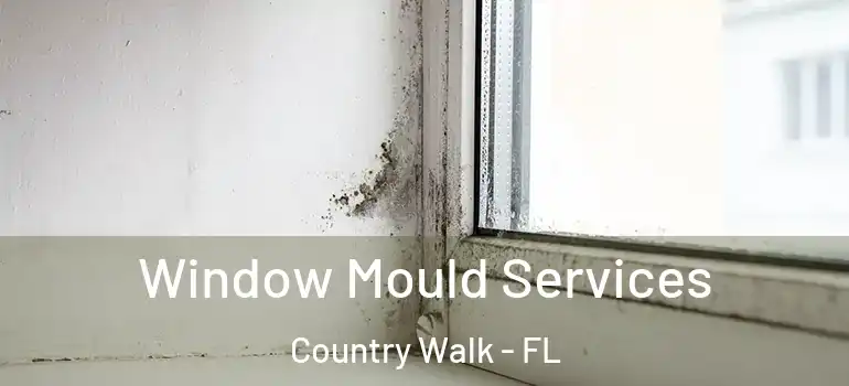  Window Mould Services Country Walk - FL