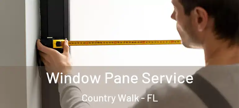  Window Pane Service Country Walk - FL
