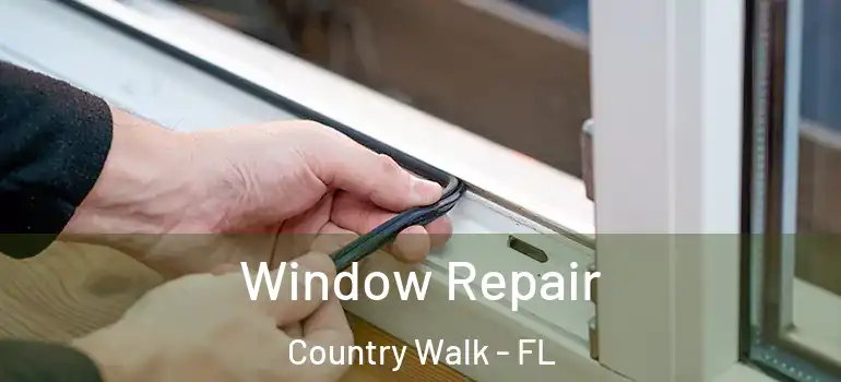  Window Repair Country Walk - FL