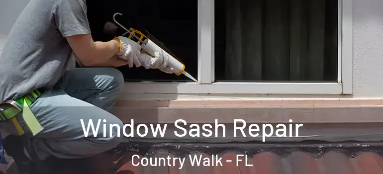  Window Sash Repair Country Walk - FL